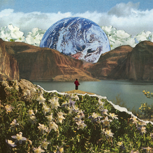 又大又爽欧美AAAA片免费视频
